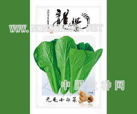 无毛小白菜